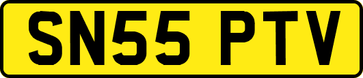 SN55PTV