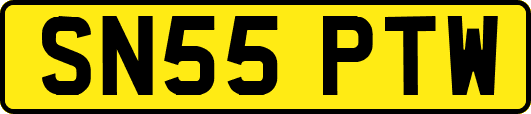 SN55PTW