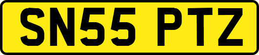 SN55PTZ