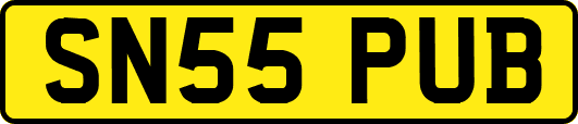 SN55PUB