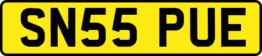 SN55PUE
