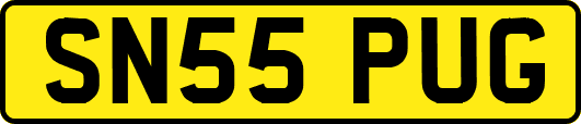 SN55PUG