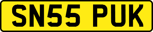 SN55PUK
