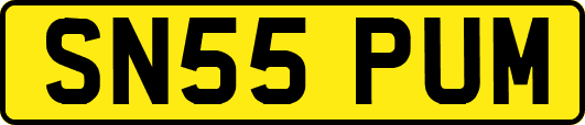 SN55PUM
