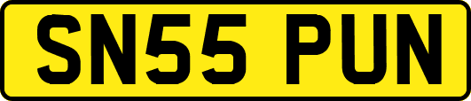 SN55PUN