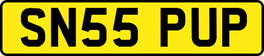 SN55PUP