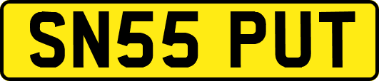 SN55PUT