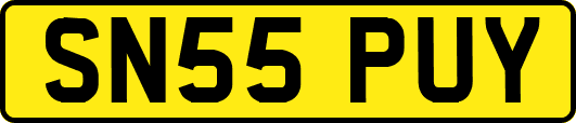 SN55PUY