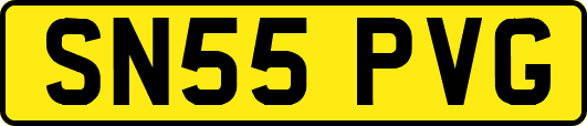 SN55PVG