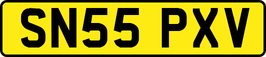 SN55PXV
