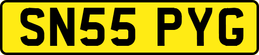 SN55PYG