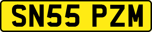 SN55PZM