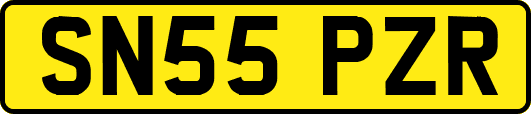SN55PZR