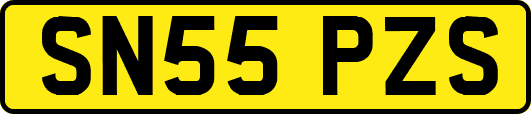 SN55PZS