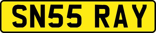 SN55RAY