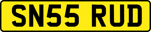 SN55RUD