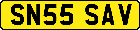 SN55SAV