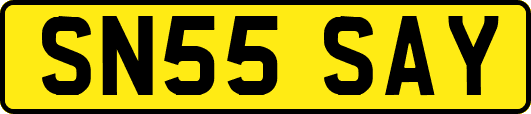 SN55SAY