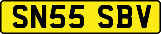 SN55SBV