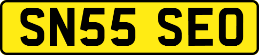 SN55SEO