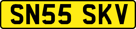 SN55SKV