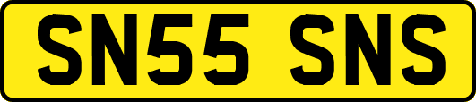SN55SNS