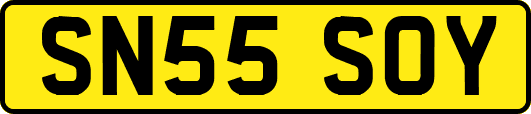 SN55SOY