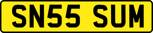 SN55SUM