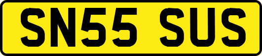 SN55SUS
