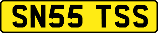 SN55TSS