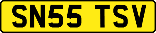 SN55TSV