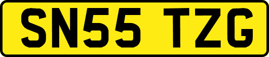 SN55TZG