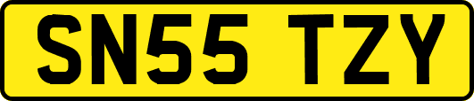 SN55TZY