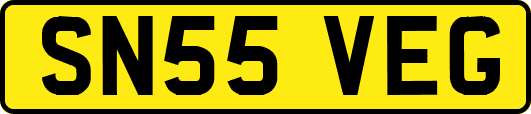 SN55VEG