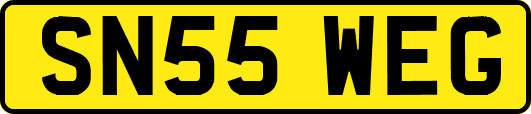 SN55WEG
