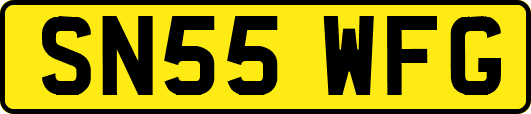 SN55WFG