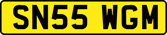 SN55WGM