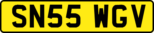SN55WGV