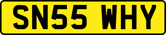 SN55WHY