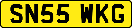 SN55WKG