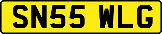 SN55WLG