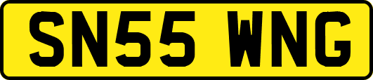 SN55WNG