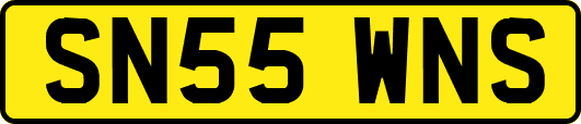 SN55WNS