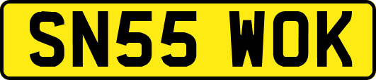 SN55WOK