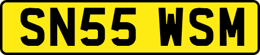 SN55WSM