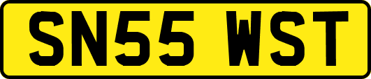 SN55WST