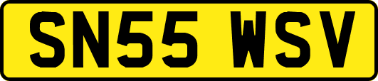 SN55WSV