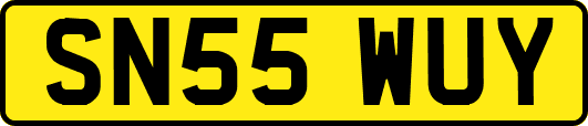 SN55WUY