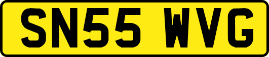 SN55WVG