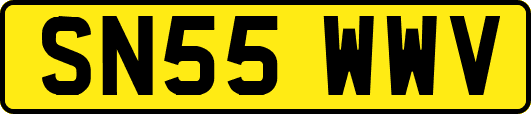 SN55WWV